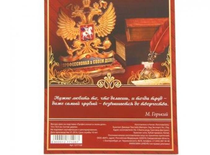 Фигура орел на подставке Профессионал в своем деле