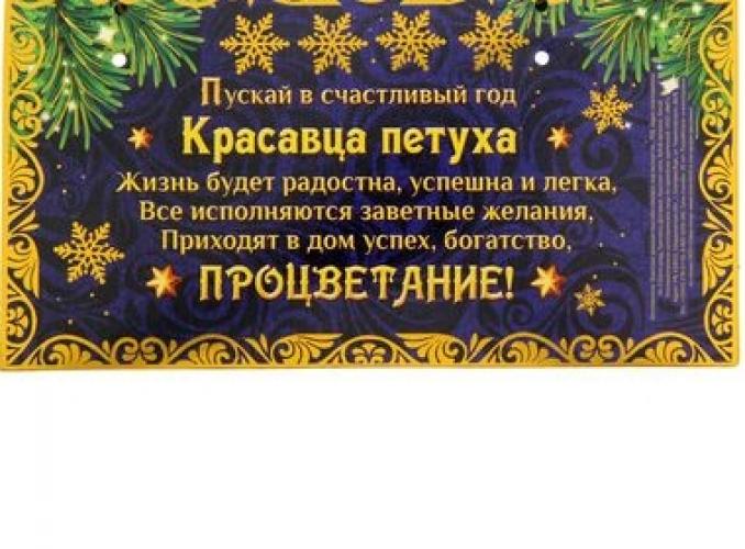 Ручка подарочная Удачи и процветания