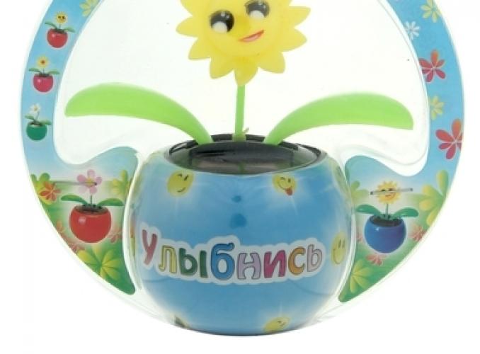 Маятник Улыбнись 