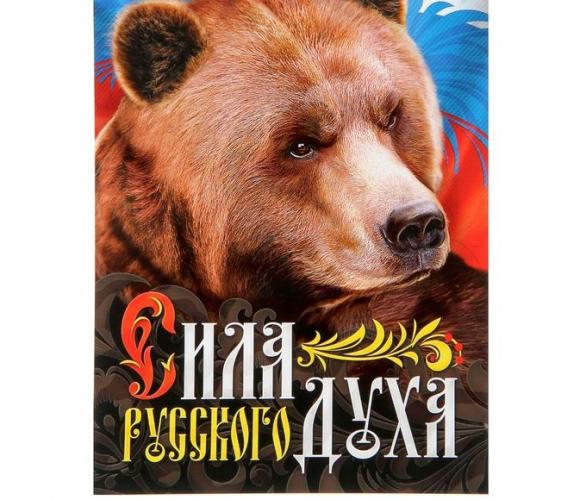 Плакат А4 «Сила русского духа», картон