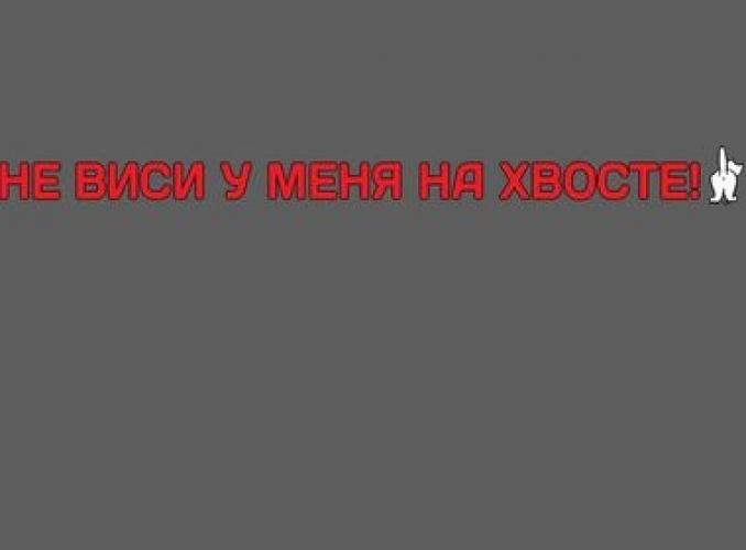 3Д наклейка для авто Мы на вазах даем газу