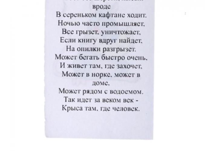 Сувенир Крыска