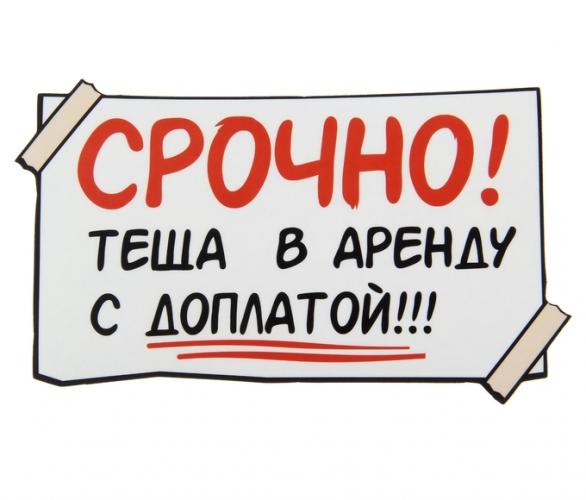 Наклейка на авто Молодая мама