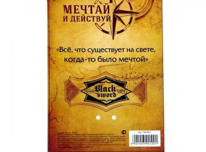 Ручка подарочная Мечтай и действуй