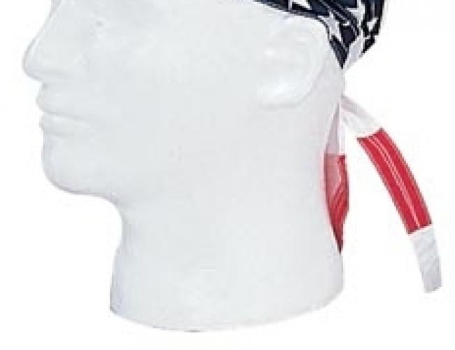 Бандана STARS and STRIPES  ― Тел 8-495-741-86-12 Бронза скульптуры вазы  подарки, статуэтки, пепельницы, лопатки для обуви, ключницы, шкатулки для украшений, кувшины и многое другое EMAIL a7418612@yandex.ru