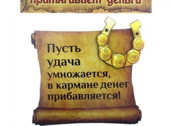 Магнит денежный Пусть удача умножается