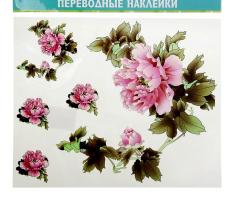 Наклейка-переводка Астра