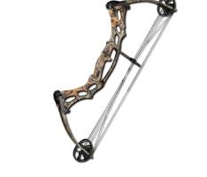 Лук блочный Hoyt Ruckus 15-27 15-45# Realtree Xtra