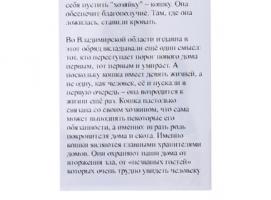 Сувенир Кошка