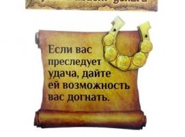 Магнит денежный Если вас преследует удача