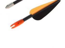 Лук детский блочный Barnett Banshee Quad 25lb (Прицел, 2стрелы)