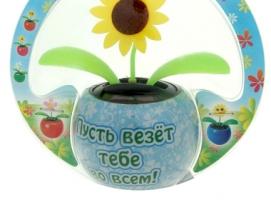 Маятник Пусть везёт тебе во всем! 