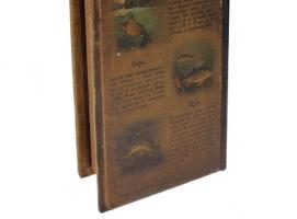Книга - сейф Классика русской рыбалки