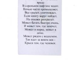 Сувенир Крыска