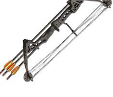 Лук блочный Barnett Vortex Lite 18-29lbs PKG (Прицел, полочка, кивер, 3 стрелы)