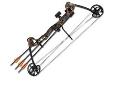 Лук блочный Barnett Vortex 19-45lb PKG (Прицел, полочка, кивер, 3 стрелы)