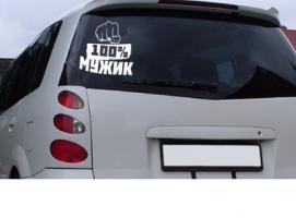 Наклейка-декор на автомобиль Паук