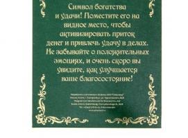 Денежное дерево в рамке с монетами Дерево счастья