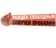 Наклейка на авто Борода