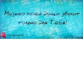 Набор мыльных лепестков 10 шт Моей половинке