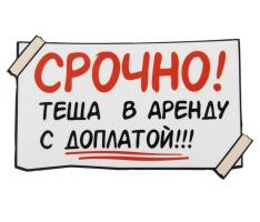 Наклейка на авто Молодая мама