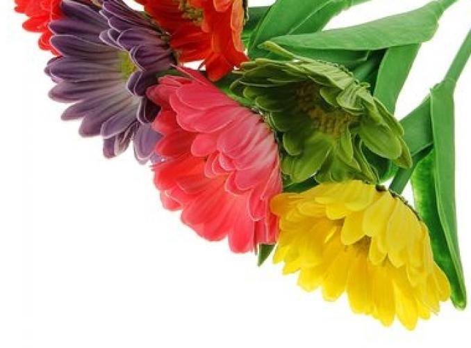 Ручка шариковая-прикол Герберы МИКС