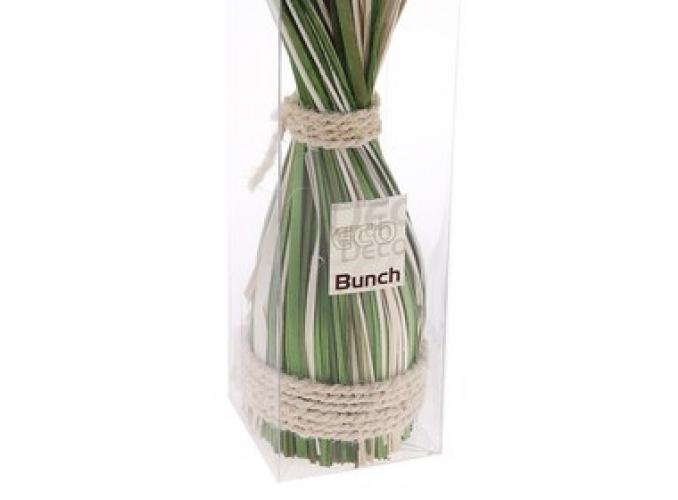 Сухоцветы Буйство природы