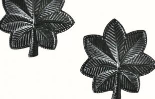 Петлицы лейтенанта-полковника 