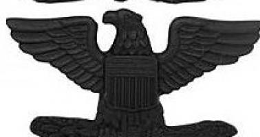 Петлицы полковника 